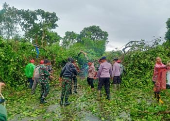 Satuan Brimob Polda Banten melakukan Evakuasi Pohon Tumbang di Jembatan Kaujon Kota Serang
