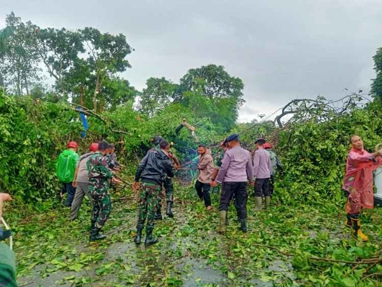 Satuan Brimob Polda Banten melakukan Evakuasi Pohon Tumbang di Jembatan Kaujon Kota Serang