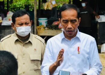 Presiden Jokowi Minta Usut Tuntas Kasus Minyak Goreng