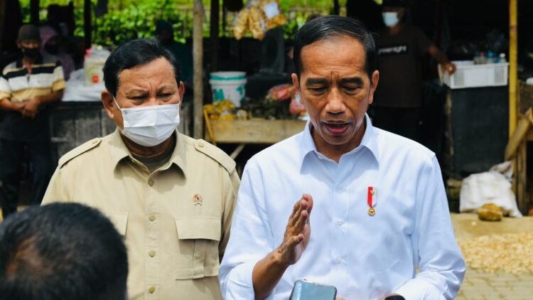 Presiden Jokowi Minta Usut Tuntas Kasus Minyak Goreng