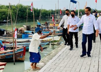 Presiden Jokowi Tinjau Kampung Nelayan Bulak di Surabaya