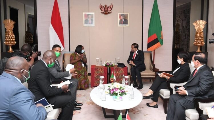 Bertemu Wakil Presiden Zambia, Presiden Jokowi Bahas Penguatan Kerja Sama Ekonomi