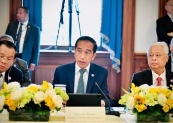 Presiden Sampaikan Pentingnya Stabilitas dan Kemakmuran Kawasan kepada Kongres AS