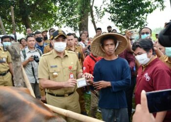 Antisipasi Penyakit Mulut dan Kuku, Sapi di Kabupaten Tangerang Divaksin