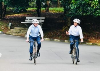 Diplomasi Sepeda Bambu ala Presiden Jokowi