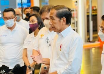 PMK pada Hewan, Presiden: Segera Berikan Vaksin