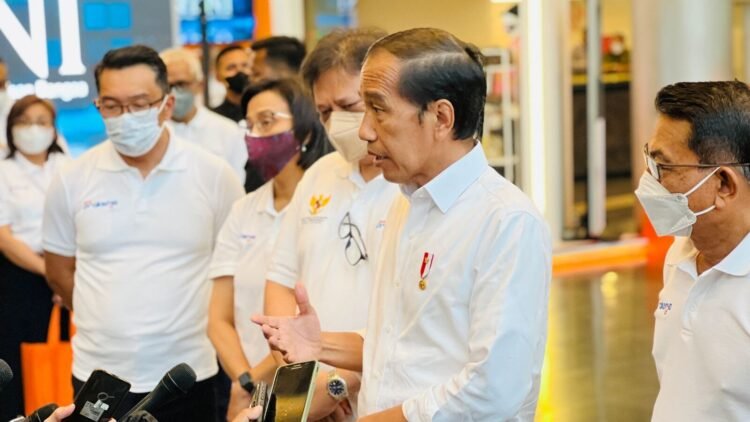 PMK pada Hewan, Presiden: Segera Berikan Vaksin