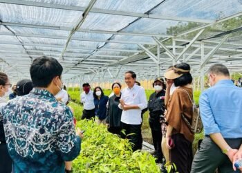 Persemaian Mentawir Bentuk Keseriusan Pemerintah Menata Lingkungan