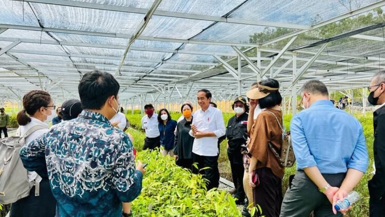 Persemaian Mentawir Bentuk Keseriusan Pemerintah Menata Lingkungan