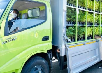 Presiden Dorong Upaya Rehabilitasi Hutan Mangrove sebagai Komitmen Hadapi Perubahan Iklim