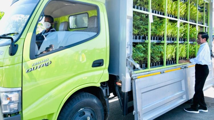Presiden Dorong Upaya Rehabilitasi Hutan Mangrove sebagai Komitmen Hadapi Perubahan Iklim