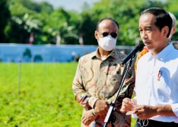 Presiden Jokowi Instruksikan Kemlu dan Dubes Bantu Kepulangan Jenazah Eril