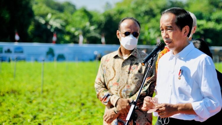 Presiden Jokowi Instruksikan Kemlu dan Dubes Bantu Kepulangan Jenazah Eril