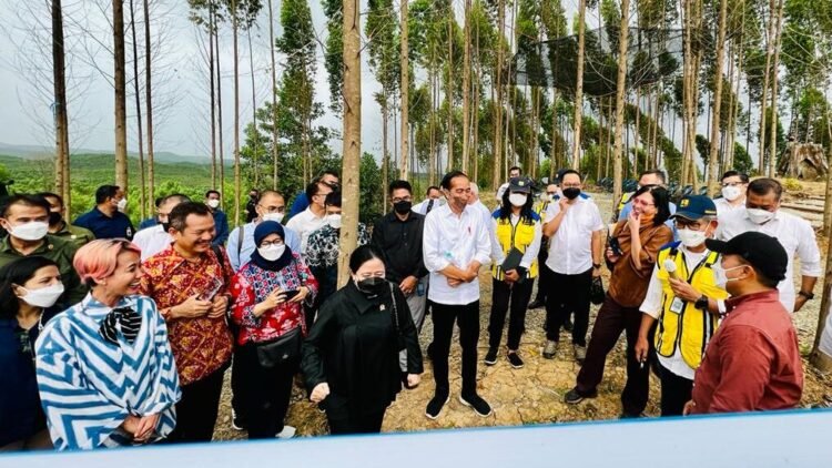 Presiden Jokowi Optimistis Pembangunan IKN Berjalan Lancar