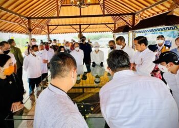 Presiden Jokowi Tinjau Progres Pembangunan Bendungan Sepaku Semoi