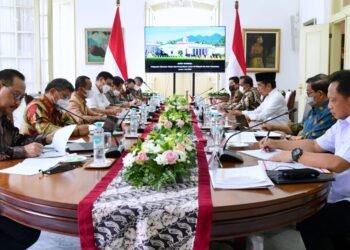 Presiden Minta Perencanaan dan Pelaksanaan Pembangunan di IKN Lebih Dimatangkan