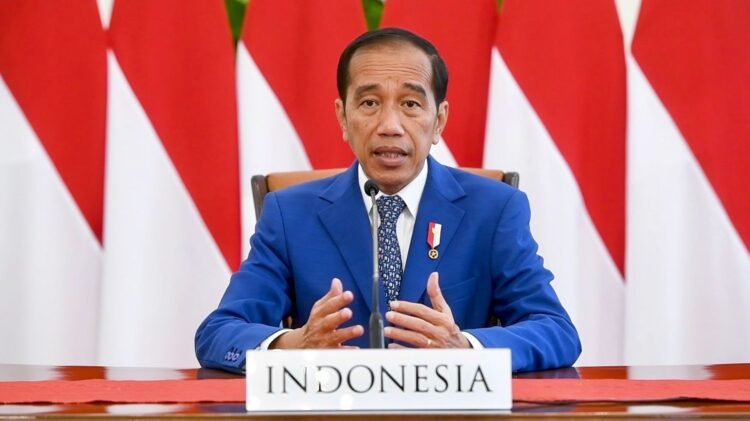Tiga Langkah Usulan Presiden Jokowi pada High-level Dialogue on Global Development