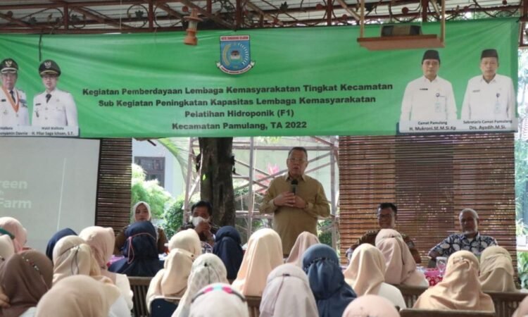 Wali Kota Tangsel: Hidroponik Bisa Jadi Solusi Ketahanan Pangan di Perkotaan