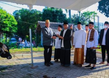 Benyamin Davnie Serahkan Hewan Kurban, Pilar Saga Ichsan Turun Langsung Ikut Sembelih