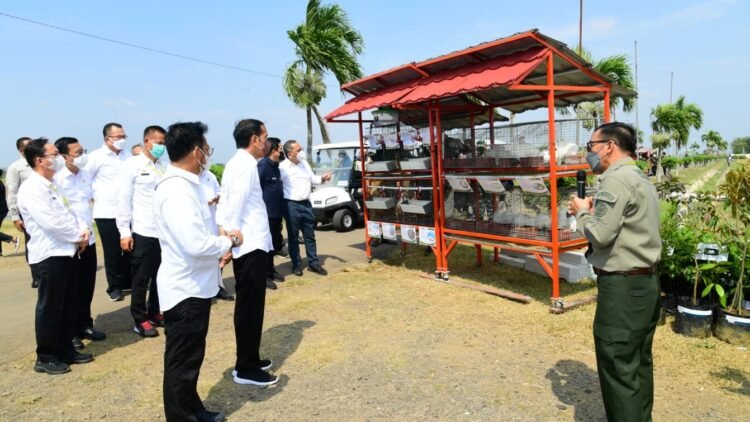 Pastikan Ketersediaan Pangan, Presiden Tinjau Balai Besar Penelitian Tanaman Padi di Subang