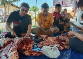 Polres Pandeglang Polda Banten Sembelih Hewan Qurban 2 Sapi dan 7 Ekor Kambing