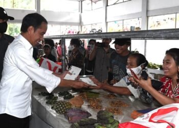 Presiden Joko Widodo Kunjungi Pasar Rakyat Mandrehe