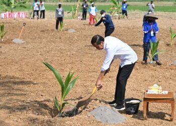 Antisipasi Krisis Pangan, Presiden Dorong Pemanfaatan Lahan Pekarangan dan Lahan Tidak Produktif
