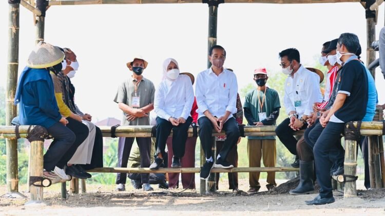 Presiden Jokowi Ingatkan Petani Rawat Kelapa Genjah
