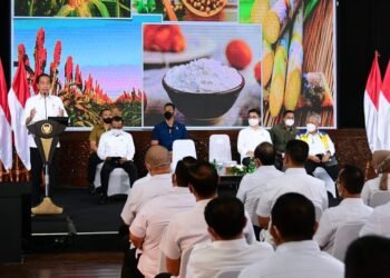 Presiden Jokowi: Manfaatkan Peluang dalam Kesulitan