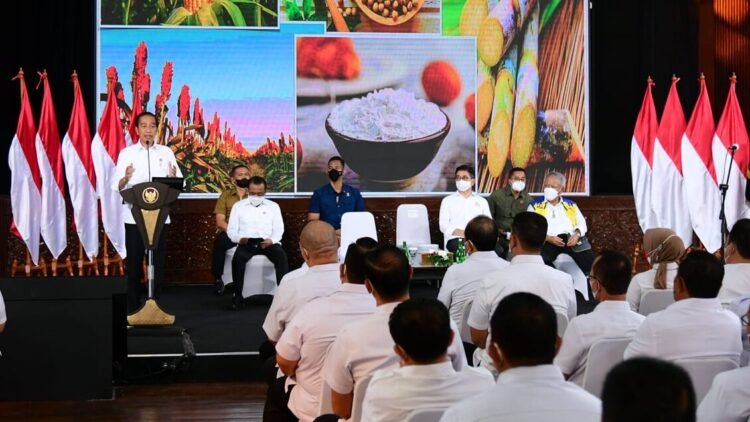 Presiden Jokowi: Manfaatkan Peluang dalam Kesulitan