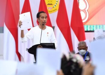 Presiden Jokowi Serahkan NIB bagi Pelaku UMKM di Tanah Papua