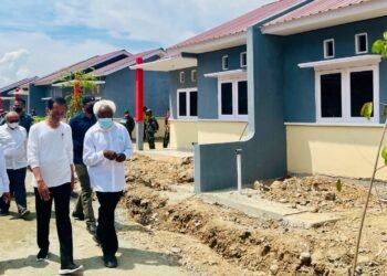 Presiden Jokowi Tinjau Kawasan Rumah Sehat di Kabupaten Jayapura