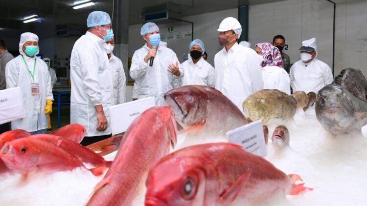 Presiden Jokowi Tinjau Unit Pengolahan Ikan dan Budidaya Rumput Laut di Provinsi Maluku