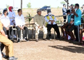 Presiden Serap Aspirasi Peternak Kerbau di Pulau Moa soal Kesulitan Air