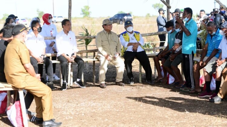 Presiden Serap Aspirasi Peternak Kerbau di Pulau Moa soal Kesulitan Air