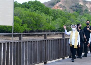 Tinjau Pulau Rinca, Ibu Iriana: Selalu Pelihara dan Jaga Lingkungan