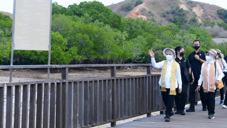 Tinjau Pulau Rinca, Ibu Iriana: Selalu Pelihara dan Jaga Lingkungan