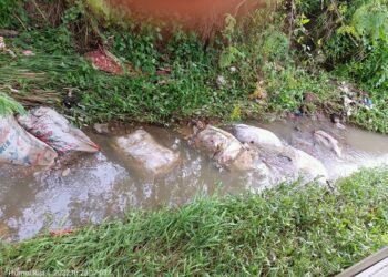 Tanggul Karung di Kali Item Jebol, Warga Perumahan Griya Artha Sepatan Was-was Kebanjiran