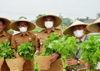 Tingkatkan Hasil Pertanian, Pemkab Tangerang Punya Gedung Puskargo