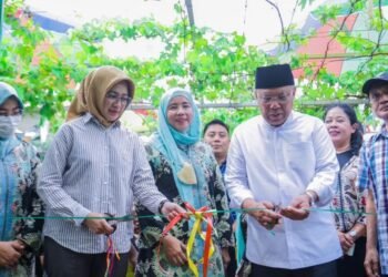 Tumbuhkan Minat Baca Masyarakat, Wali Kota Benyamin Davnie Resmikan Taman Baca Masyarakat Perbas