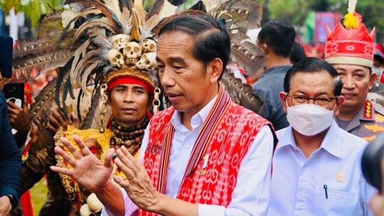 Presiden Jokowi Sampaikan Progres Pembangunan IKN