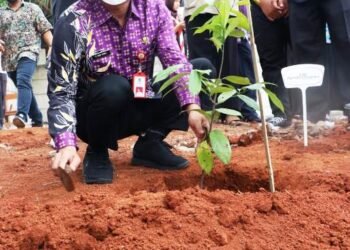 Program SEHATI, SMPN 3 Curug Panen Padi Hitam