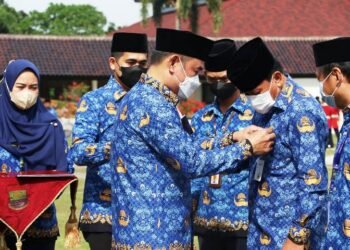 Sekda Terima Satyalencana Karya Satya 30 Tahun dari Jokowi
