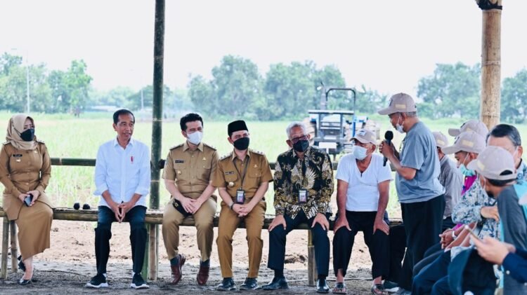 Tinjau Penanaman Tebu di Mojokerto, Presiden: Varietas Baru Tunjukkan Hasil Luar Biasa