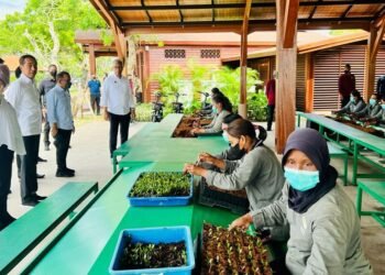 Tinjau Tempat KTT G20, Presiden: Kita Siap Menerima Tamu-Tamu G20