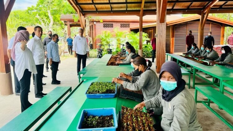 Tinjau Tempat KTT G20, Presiden: Kita Siap Menerima Tamu-Tamu G20