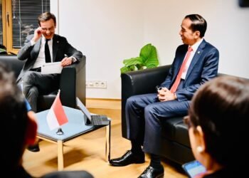 Bertemu PM Swedia, Presiden Jokowi Dorong Kerja Sama Pembangunan Hijau