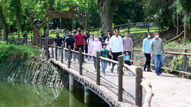 Kunjungi Solo Safari, Presiden Jokowi Tinjau Progres Revitalisasi