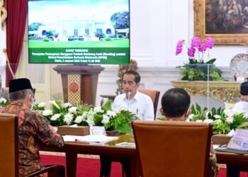 Presiden Dorong Penerapan Teknologi untuk Turunkan Stunting di Daerah