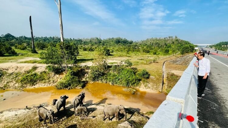 Presiden Tekankan Pembangunan Infrastruktur harus Ramah Lingkungan